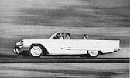 otbird.jpg (4016 bytes)