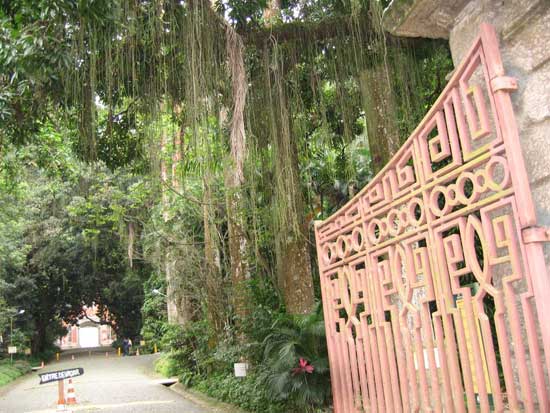 entrada