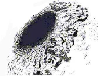 hollow.jpg (21892 bytes)