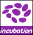 Link to Incubation page