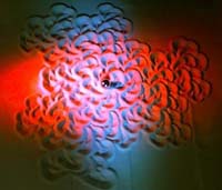 “In the Limelights,” by Ho